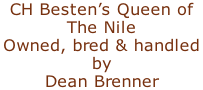 CH Besten’s Queen of  The Nile Owned, bred & handled  by  Dean Brenner