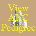 Click to view AKC pedigree